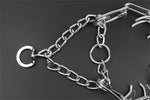FlexiPaw | Anti-Zieh-Halsband für Hunde - Modell B