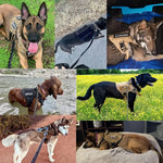 Verstellbares Taktisches Hundegeschirr für Training und Spaziergänge
