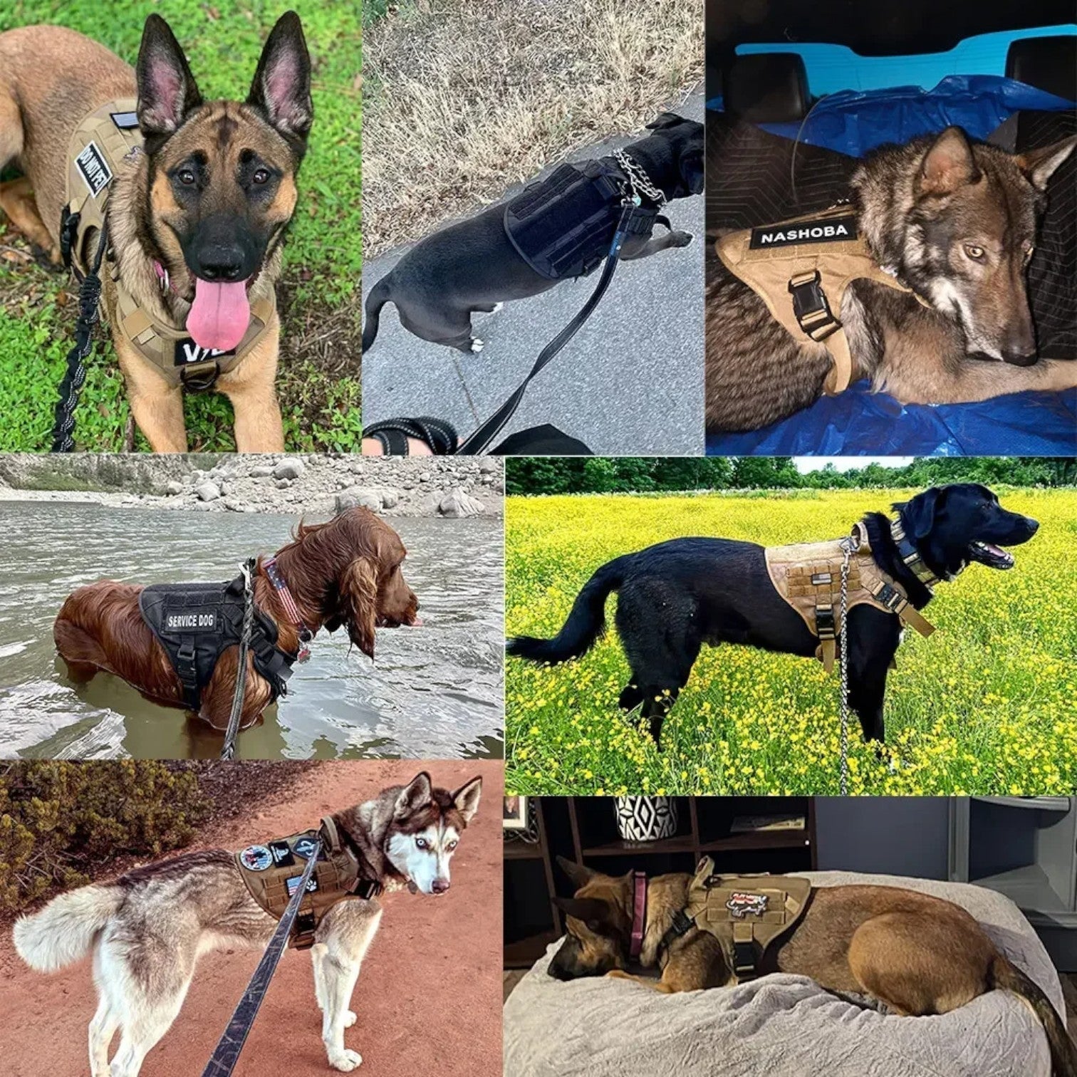 Verstellbares Taktisches Hundegeschirr für Training und Spaziergänge