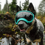 Verstellbare winddichte Hundesonnenbrille mit UV-Schutz