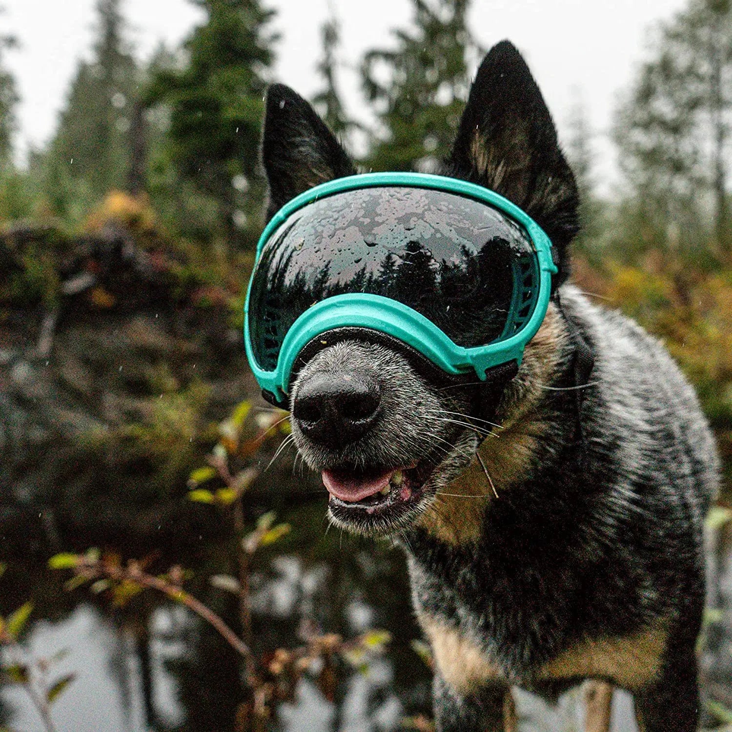 Verstellbare winddichte Hundesonnenbrille mit UV-Schutz