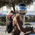 Hunderrucksack für Reisen und Outdoor, atmungsaktiv
