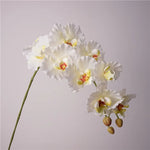 Künstliche Phalaenopsis-Orchidee mit 9 Blütenköpfen