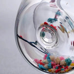 2er Set Doppelt Wandige Glasbecher mit Trockenen Blumen