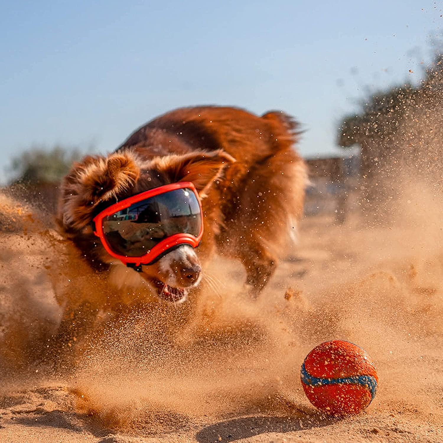 Verstellbare winddichte Hundesonnenbrille mit UV-Schutz