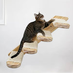 Wandmontierte Katzen-Kletterleiter aus Holz mit Sisal