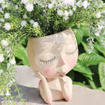 Elegant plant decoration for your home