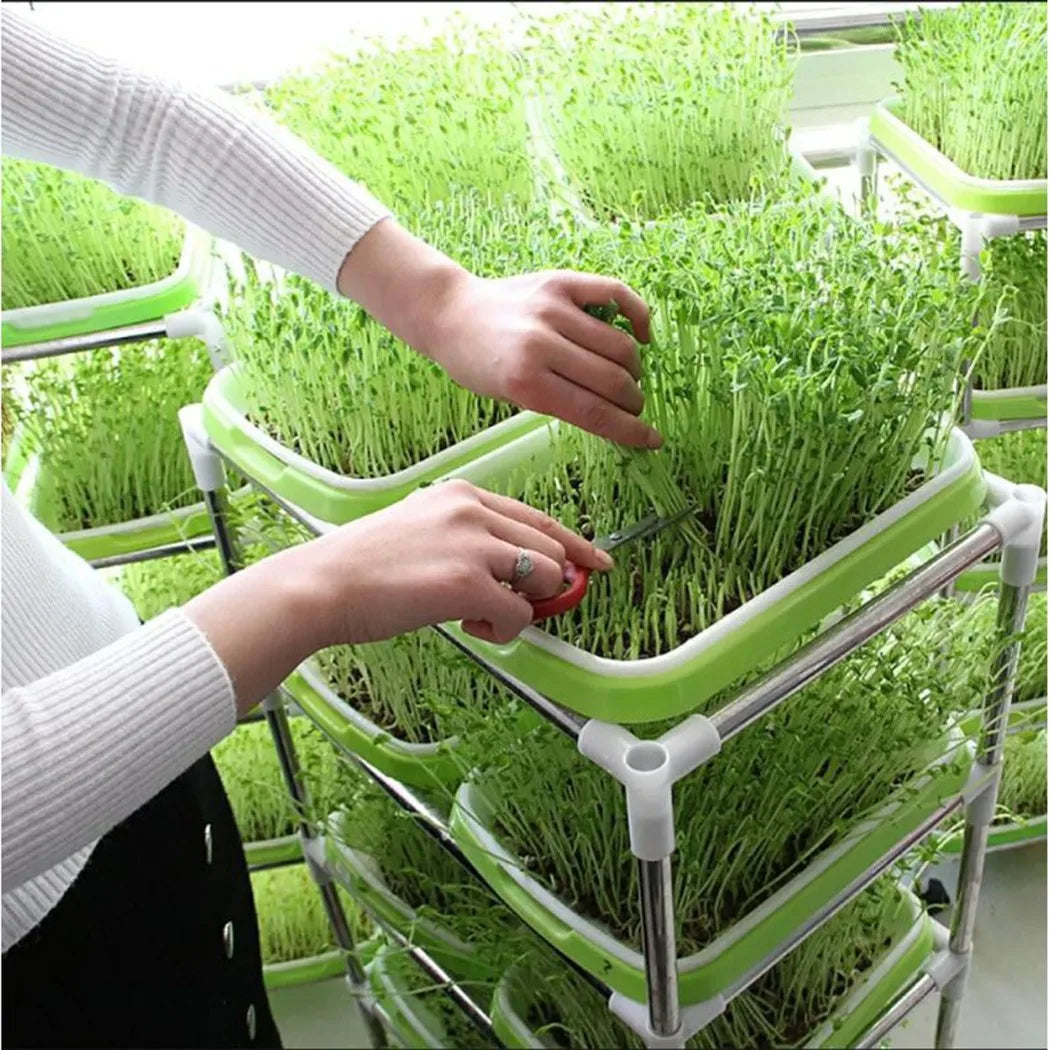 FreshSprout Set | Two-Tiered System for Microgreens | BPA-free