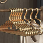Stylish Metal Clothes Hangers for an Elegant Wardrobe (5 pieces)