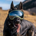 Verstellbare winddichte Hundesonnenbrille mit UV-Schutz