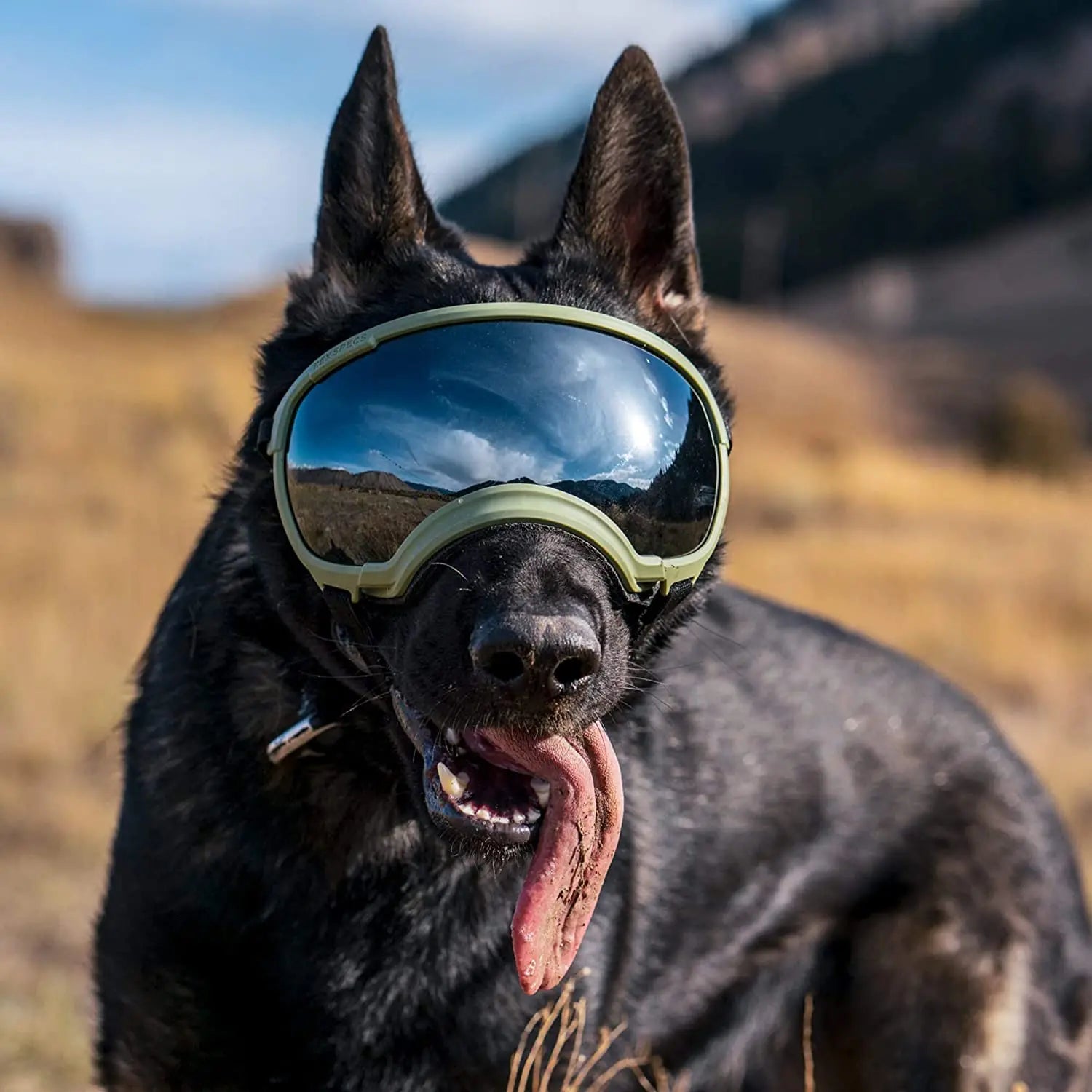 Verstellbare winddichte Hundesonnenbrille mit UV-Schutz