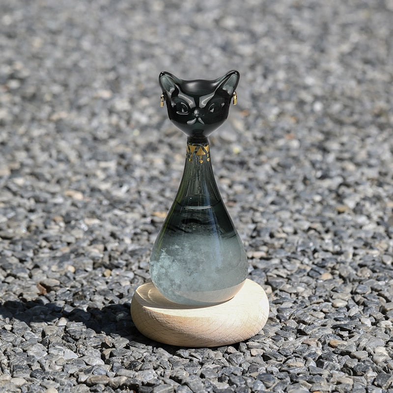 Wettervorhersage-Flasche im Katzen-Design