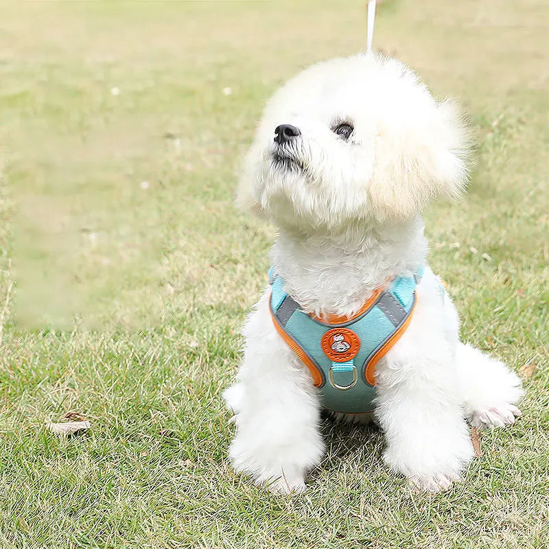 Atmungsaktive, verstellbare und bequeme Hundegeschirr