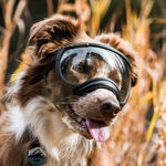 Verstellbare winddichte Hundesonnenbrille mit UV-Schutz