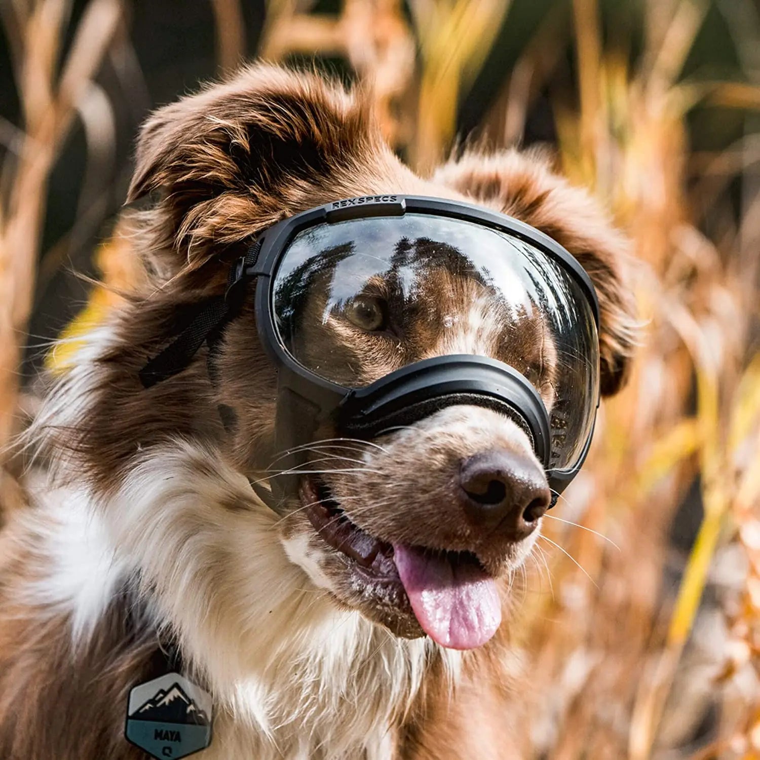 Verstellbare winddichte Hundesonnenbrille mit UV-Schutz