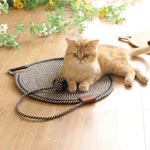 2-in-1 Kratzteppich und Spielmatte für Katzen