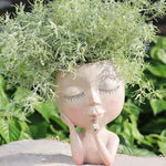 Elegant plant decoration for your home