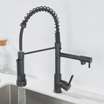 FlexiSpritz – Versatile Kitchen Faucet with Two Outlets