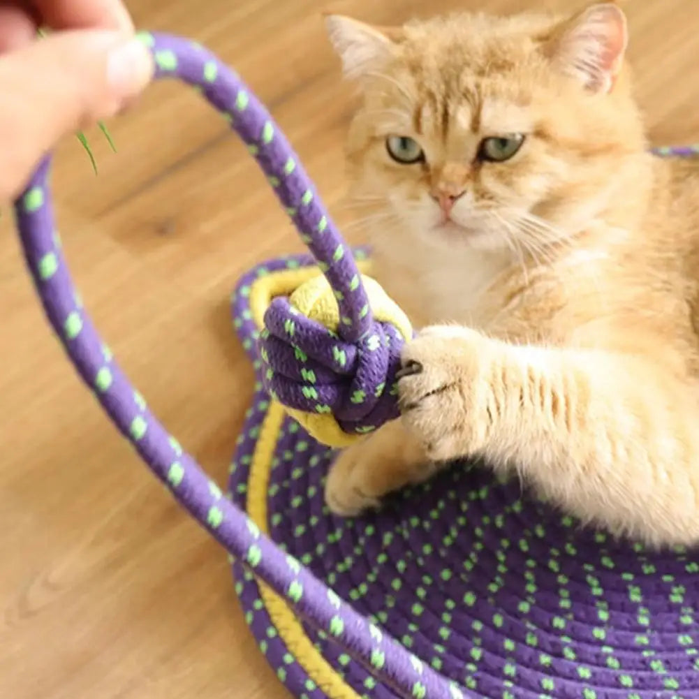 2-in-1 Katzenkratzmatte und Spielunterlage CatJoy