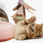 Katzenspielzeug mit Laser und Regenbogenlicht – USB Aufladung