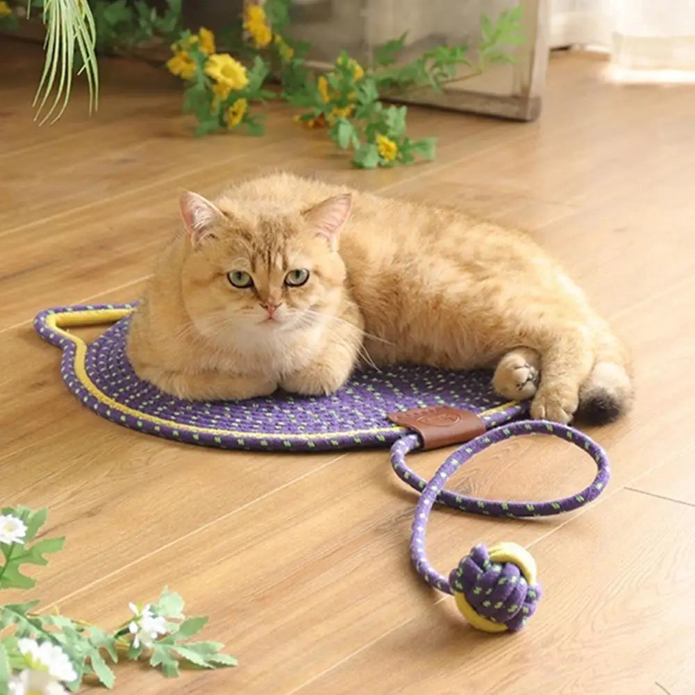 2-in-1 Katzenkratzmatte und Spielunterlage CatJoy