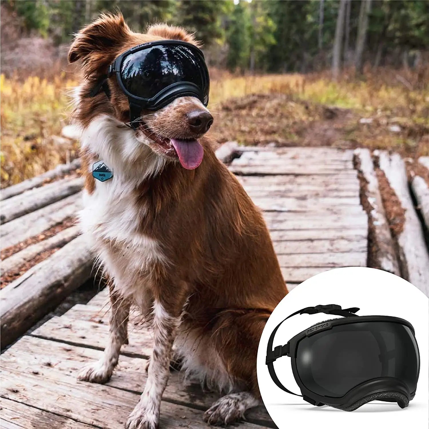 Verstellbare winddichte Hundesonnenbrille mit UV-Schutz