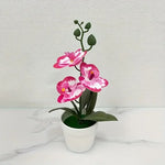 Elegante Künstliche Orchideen-Bonsai für Ihr Zuhause
