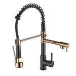 FlexiSpritz – Versatile Kitchen Faucet with Two Outlets