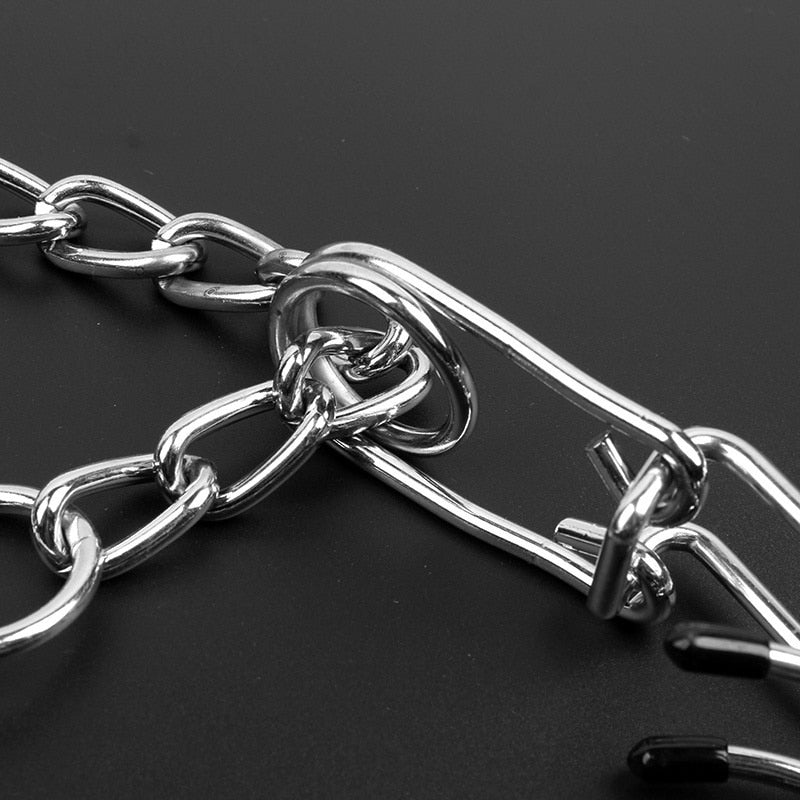 FlexiPaw | Anti-Zieh-Halsband für Hunde - Modell B