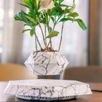 Schwebender Blumentopf mit 360° Drehung – Stilvolles Wohnaccessoire