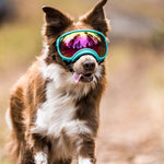 Verstellbare winddichte Hundesonnenbrille mit UV-Schutz