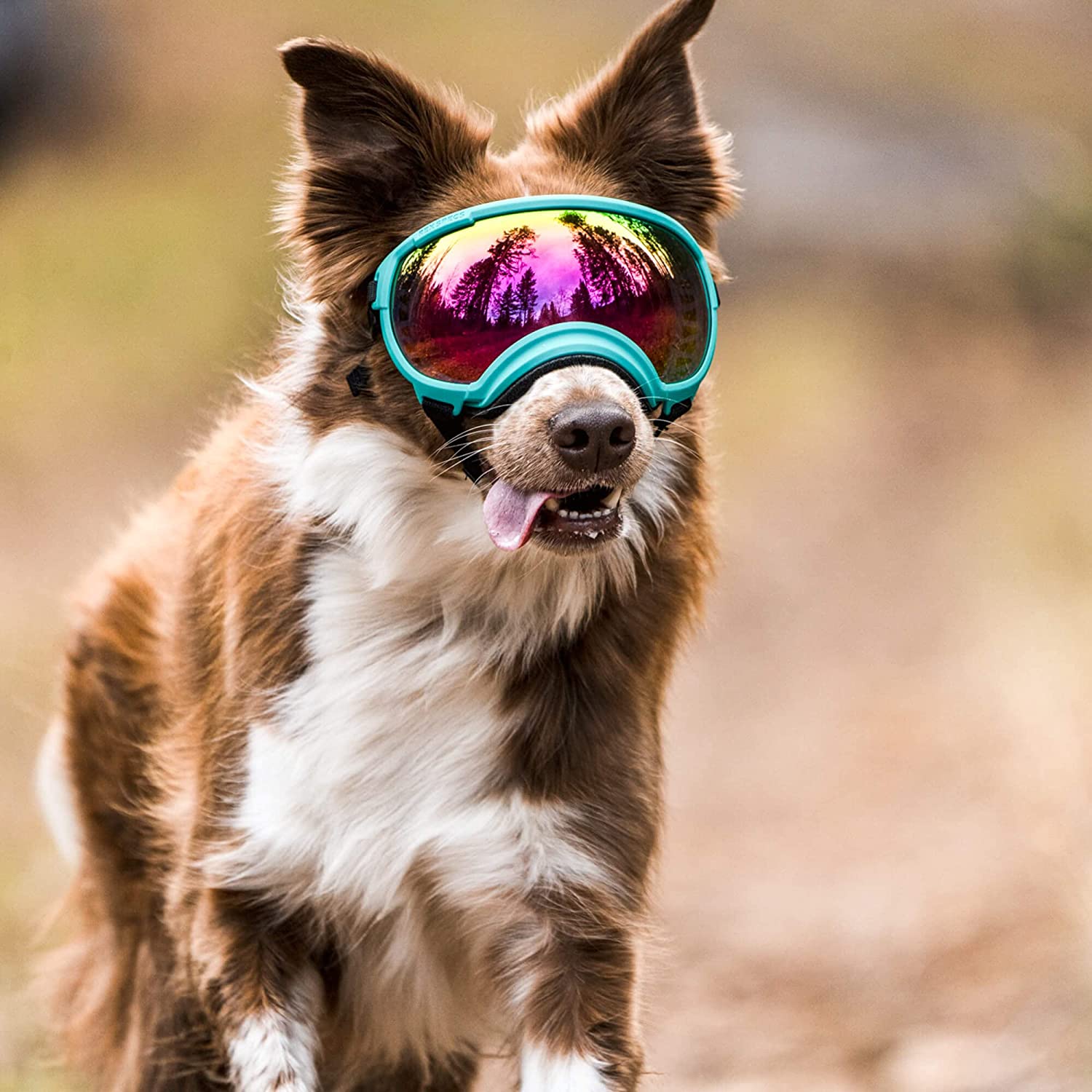 Verstellbare winddichte Hundesonnenbrille mit UV-Schutz