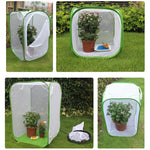 Insect Observation Net | Foldable Enclosure for Butterflies & Insects
