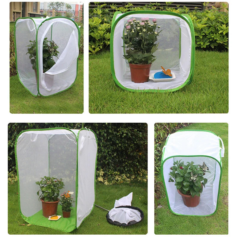 Insect Observation Net | Foldable Enclosure for Butterflies & Insects