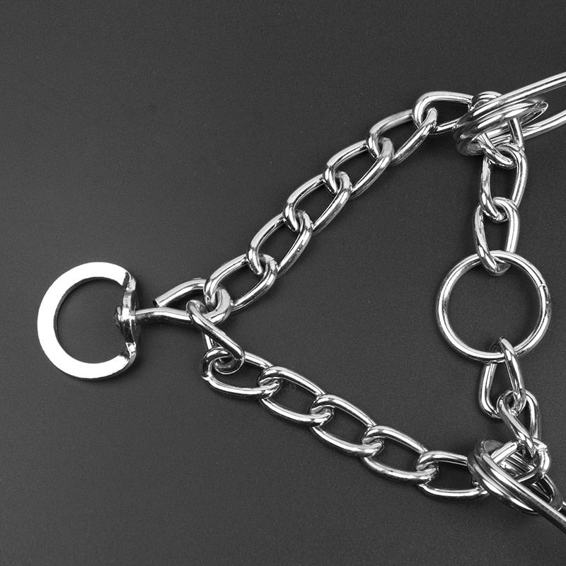 FlexiPaw | Anti-Zieh-Halsband für Hunde - Modell B