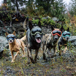 Verstellbare winddichte Hundesonnenbrille mit UV-Schutz