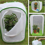 Insect Observation Net | Foldable Enclosure for Butterflies & Insects