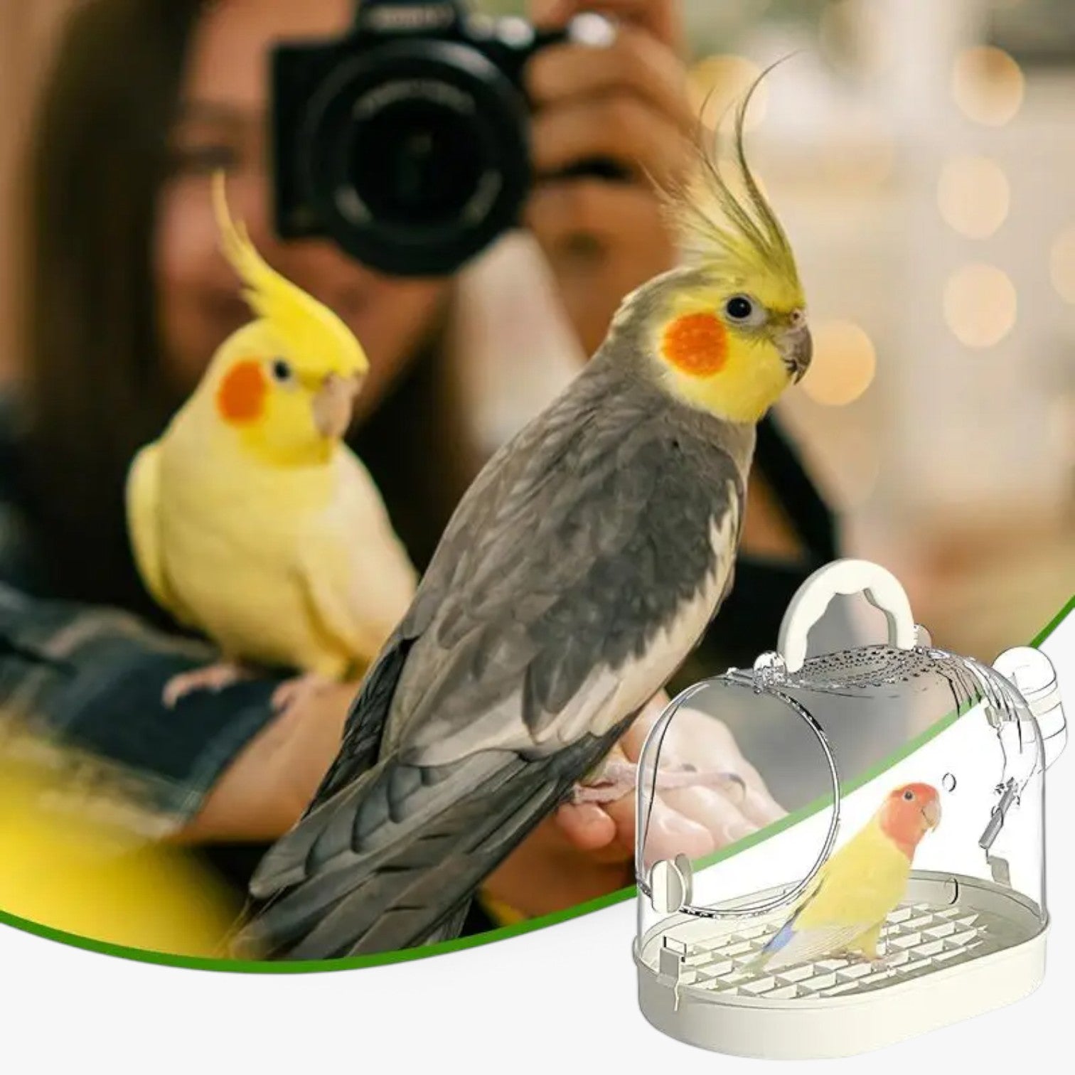 Transportkäfig für kleine Haustiere und Vögel – Leichtgewicht