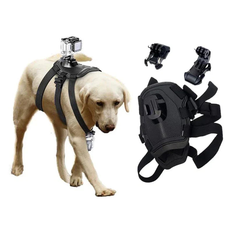 360° Perspektiv Actionkamera Hundegeschirr