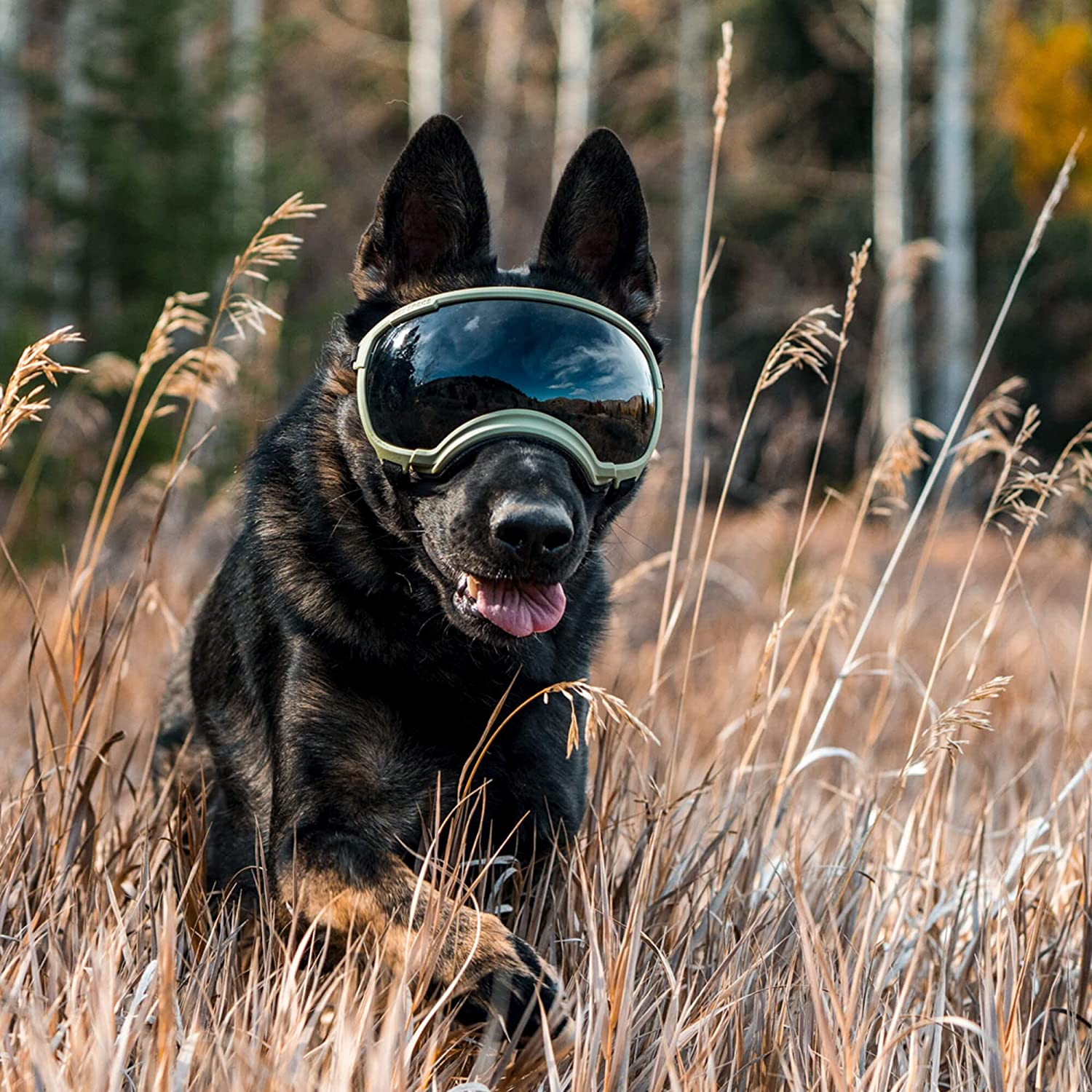 Verstellbare winddichte Hundesonnenbrille mit UV-Schutz