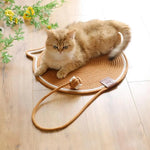 2-in-1 Kratzteppich und Spielmatte für Katzen
