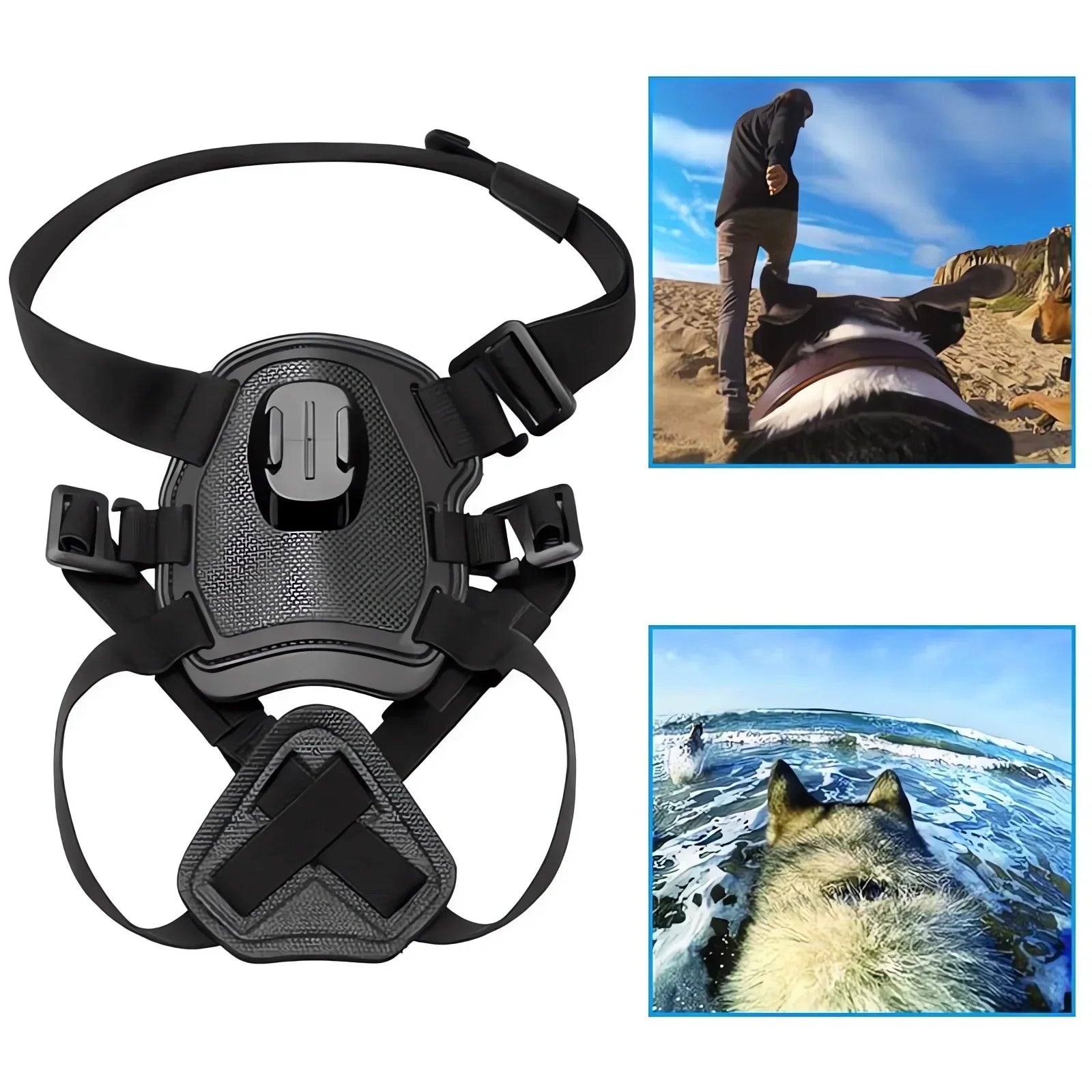 360° Perspektiv Actionkamera Hundegeschirr
