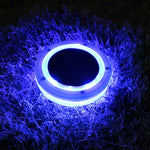 Solarbetriebene Schwimmleuchte – Schwimmend & wasserdicht mit buntem LED-Licht