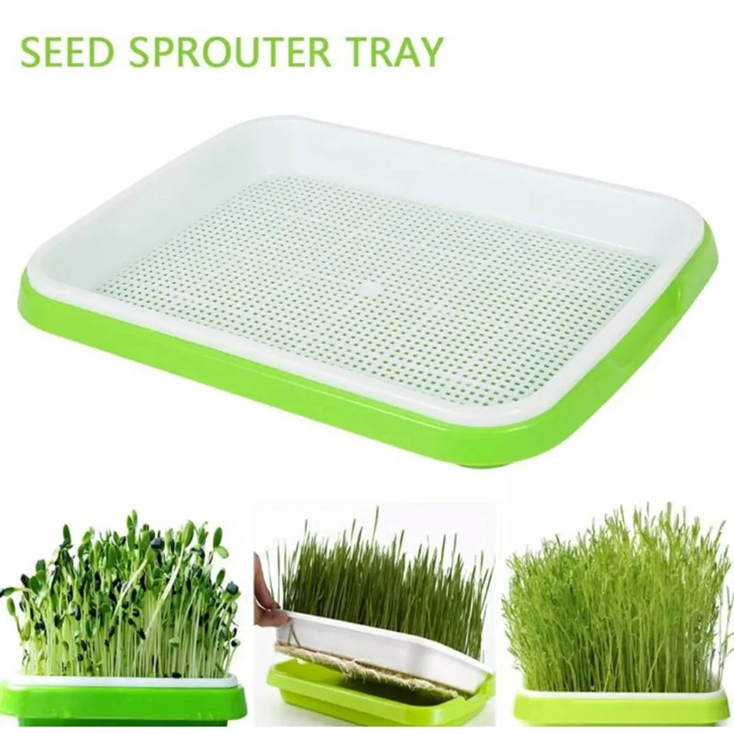 FreshSprout Set | Two-Tiered System for Microgreens | BPA-free