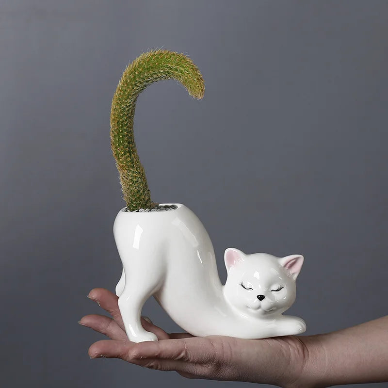 Niedlicher Katzenblumentopf - Glasiertes Porzellan-Sukkulententöpfe