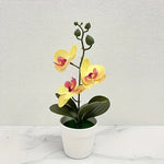 Elegante Künstliche Orchideen-Bonsai für Ihr Zuhause