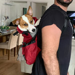 Hunderrucksack für Reisen und Outdoor, atmungsaktiv
