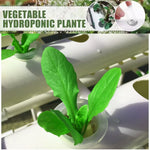 HydroGrow 36 | Innovative Indoor Plant System | With Pump & Timer Control | For Herbs & Vegetables | 36 Planting Pods in White