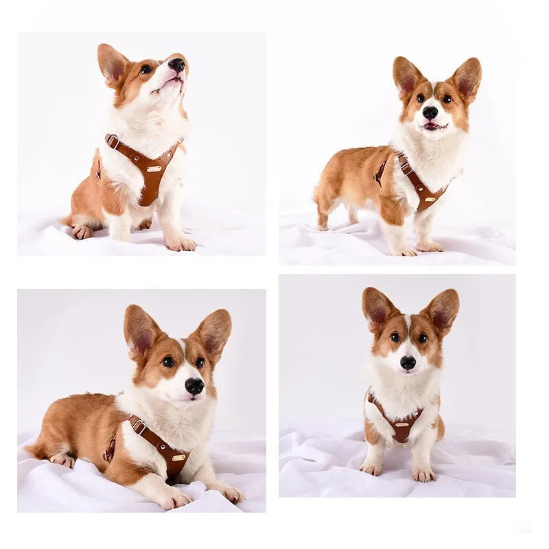Verstellbares Hundegeschirr aus Leder mit individueller Gravur