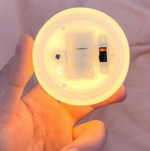 Edelmuschel Lichtquelle | Verzaubern Sie Ihre Räume